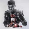 Boxeo / Lucha