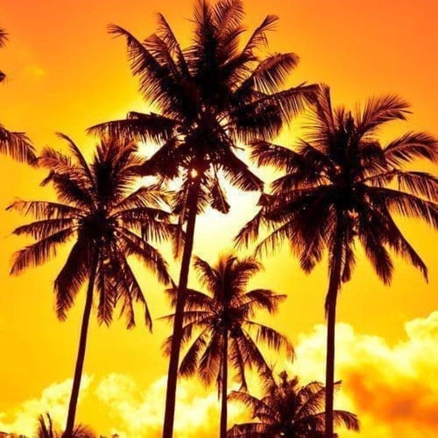 Naturaleza